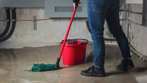 Best Water damage mitigation services  in Sheridan, CA