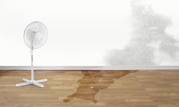 Best Water damage restoration near me  in Sheridan, CA