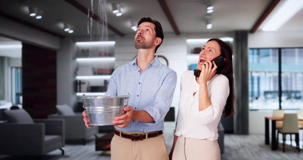 Best 24-hour water damage restoration  in Sheridan, CA