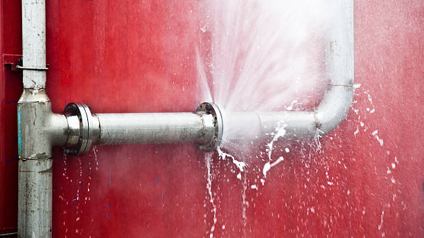 Best Ceiling water damage repair  in Sheridan, CA